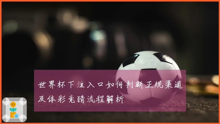 世界杯下注入口如何判断正规渠道及体彩竞猜流程解析