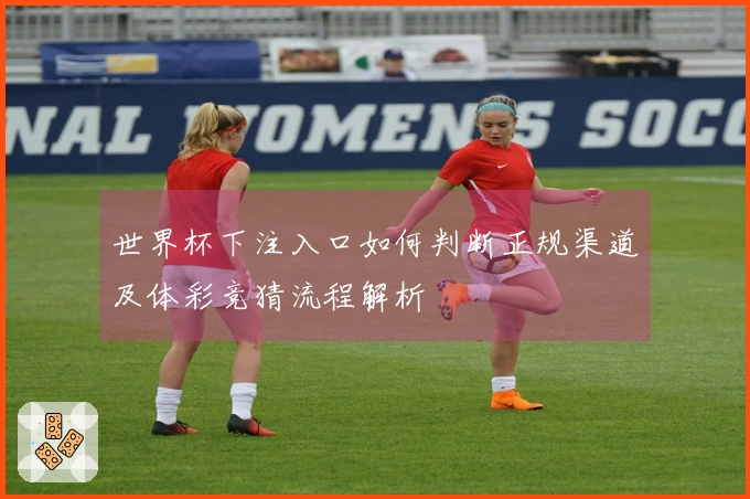 世界杯下注入口如何判断正规渠道及体彩竞猜流程解析