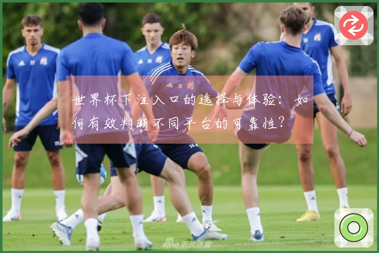 世界杯下注入口的选择与体验：如何有效判断不同平台的可靠性？
