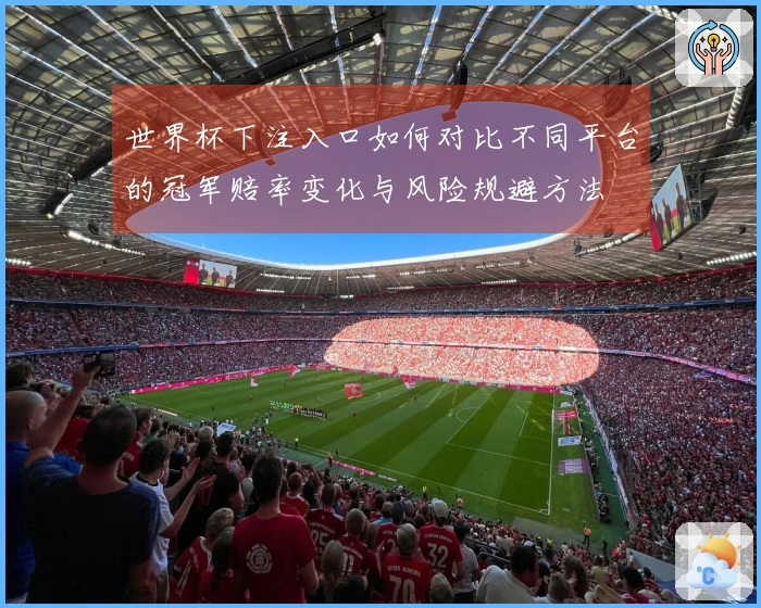 世界杯下注入口如何对比不同平台的冠军赔率变化与风险规避方法