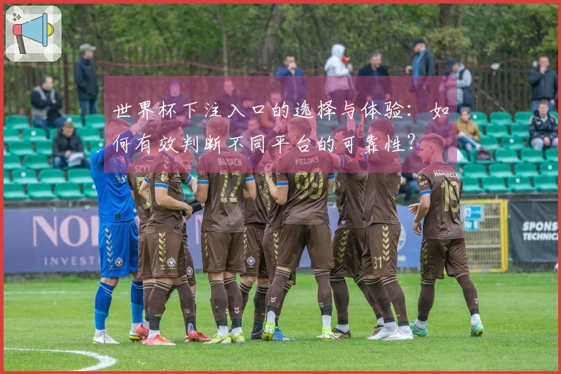 世界杯下注入口的选择与体验:如何有效判断不同平台的可靠性?